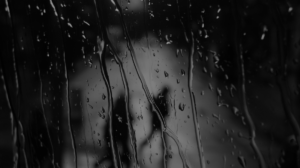 Entry of Monsoon
